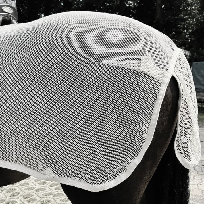 L\'Evoine insect rijdeken Foliage